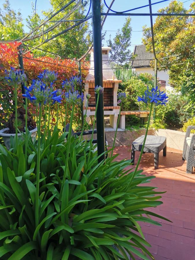 פארדס דה קורה Casa Das Flores Ll מראה חיצוני תמונה
